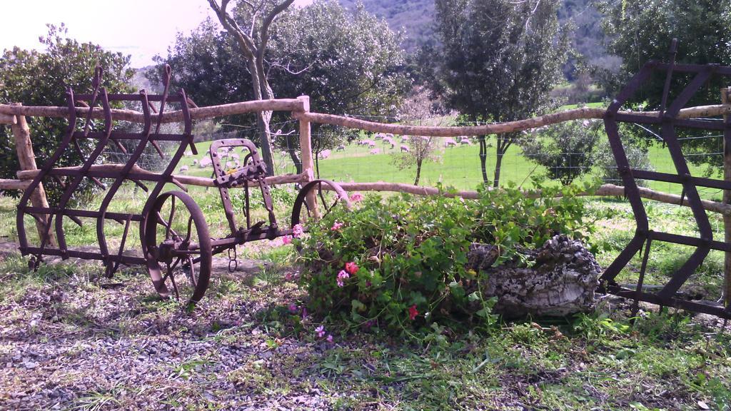 Agriturismo Cugumia Thiesi Eksteriør bilde
