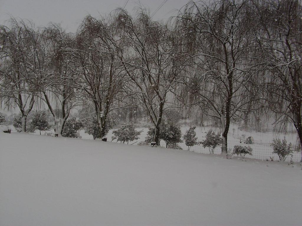 Agriturismo Cugumia Thiesi Eksteriør bilde